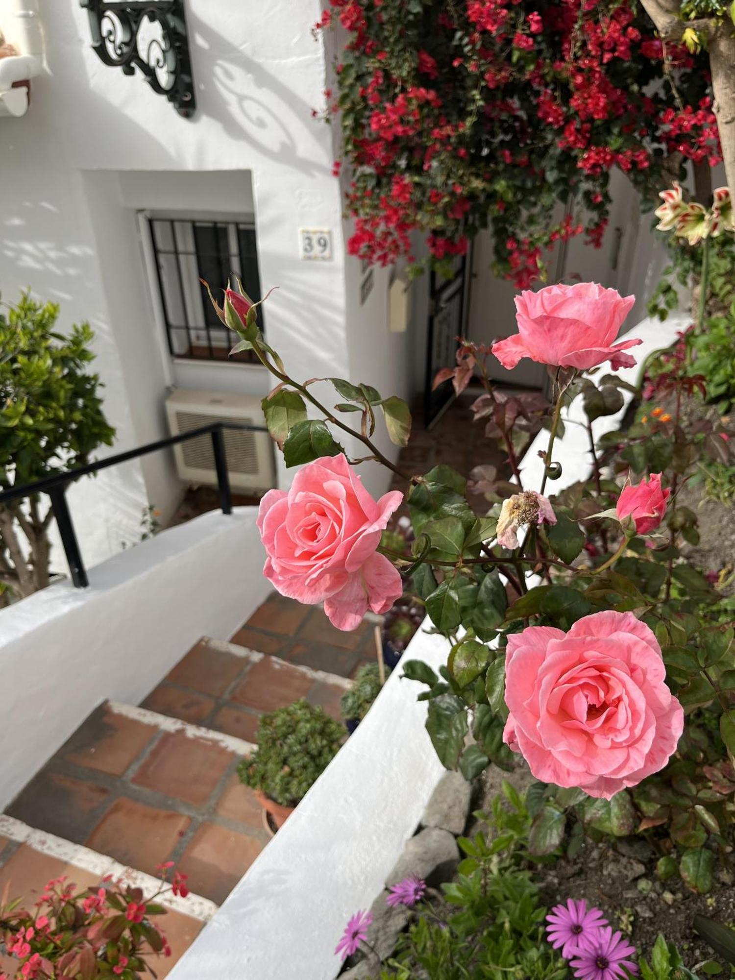 Casa Ladera Del Mar Holiday home *